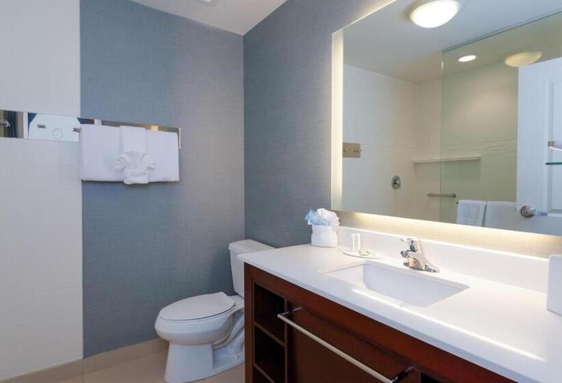 ホテル Residence Inn By Marriott Philadelphia Great Valley/malvern