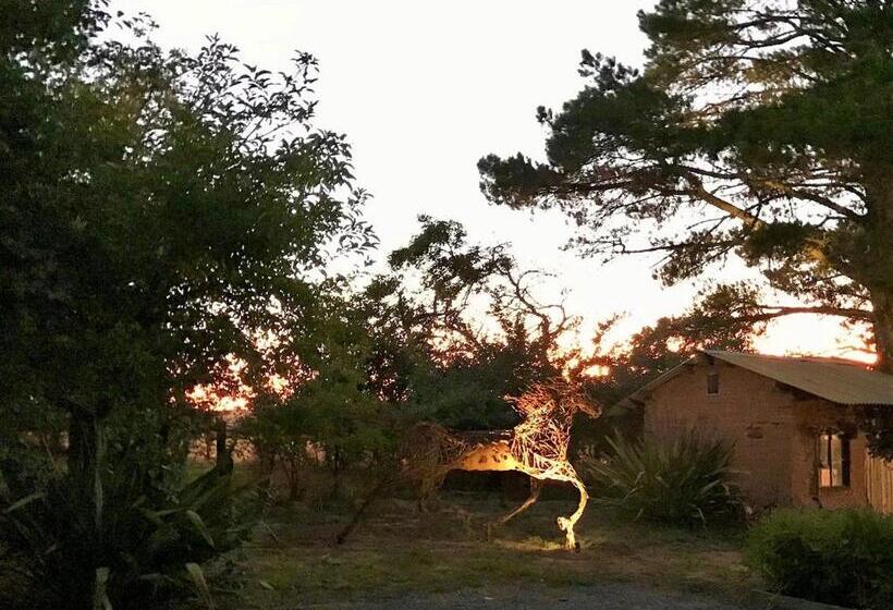 هتل Sutton Spring Art Retreats