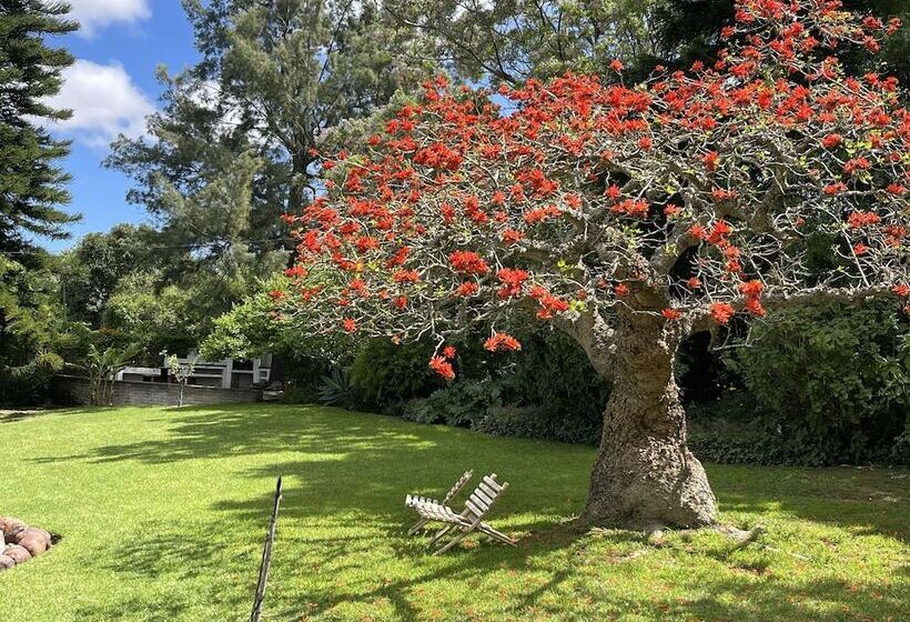ペンション Marula Lodge