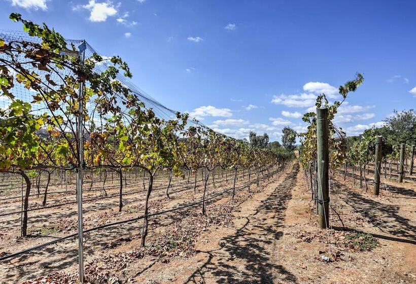 Escondido Vineyard Estate: Walk To Wineries!