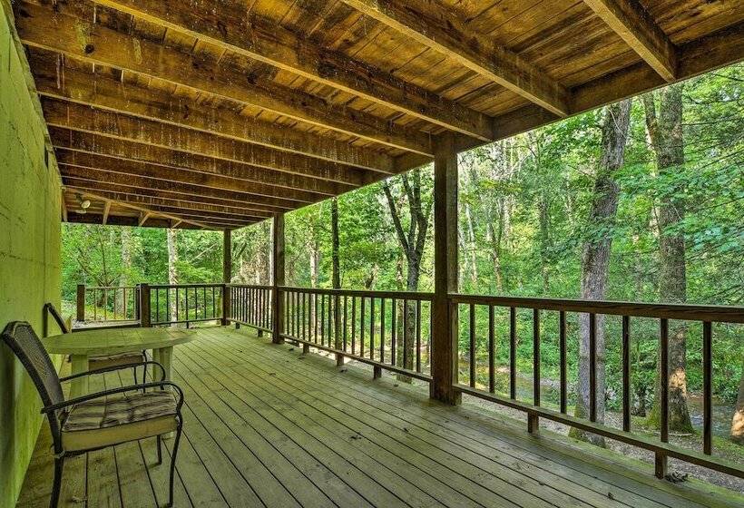 Tellico Plains Cabin   25 Acres, Backyard Creek!
