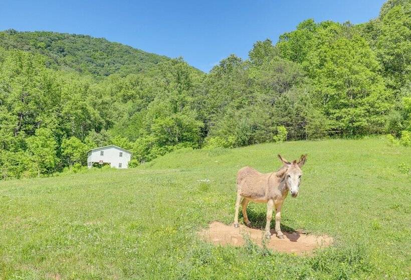Weaverville Cottage: Fishing Pond & Mountain Views