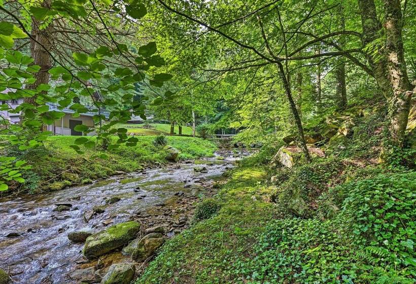 Roan Mountain Creekside Cabin: Hike & Fish!