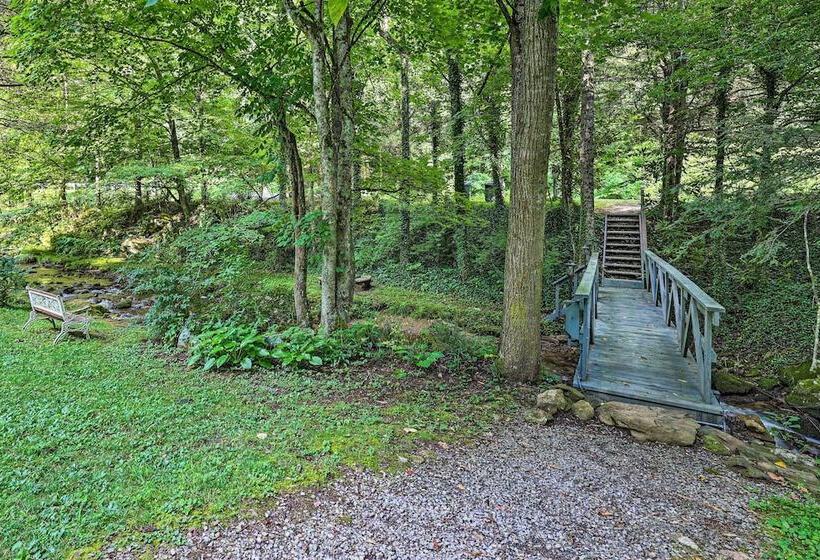 Roan Mountain Creekside Cabin: Hike & Fish!