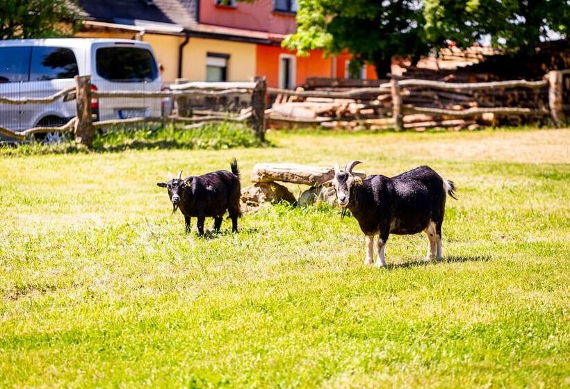 ベッドアンドブレックファースト Ferienhof Domäne Groschwitz