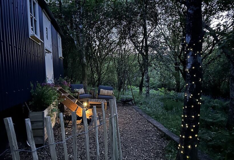 Cornwall Woodland Dog Friendly Shepherd S Hut