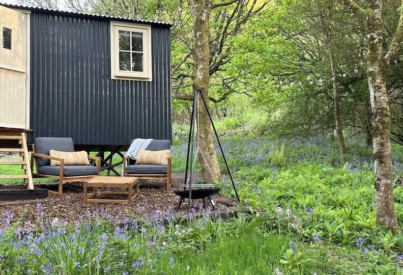Cornwall Woodland Dog Friendly Shepherd S Hut
