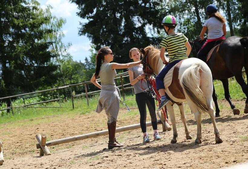 בית מלון כפרי Agroturystyka Kurnik Polski