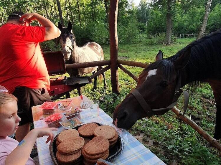 בית מלון כפרי Agroturystyka Kurnik Polski