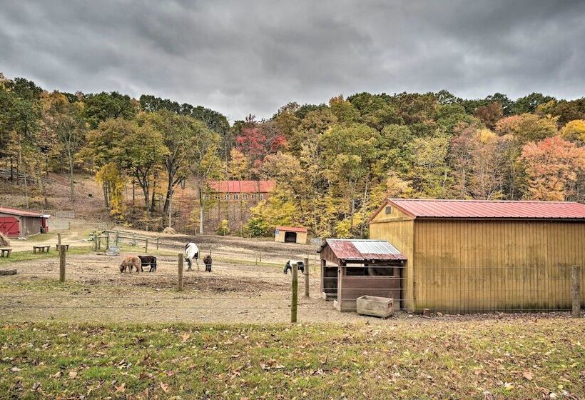 Lone Ranger  Cabin W/ 50 Acres By Raystown Lake