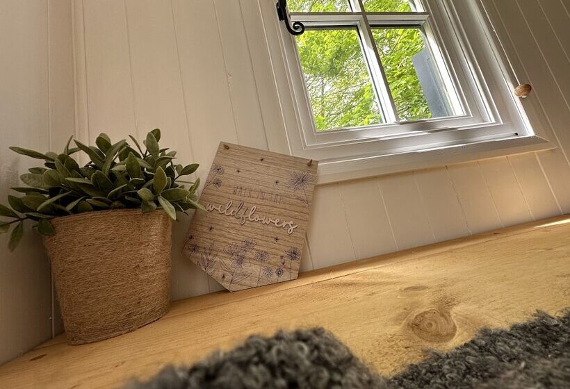 住所  Cornwall Woodland Dog Friendly Shepherd S Hut