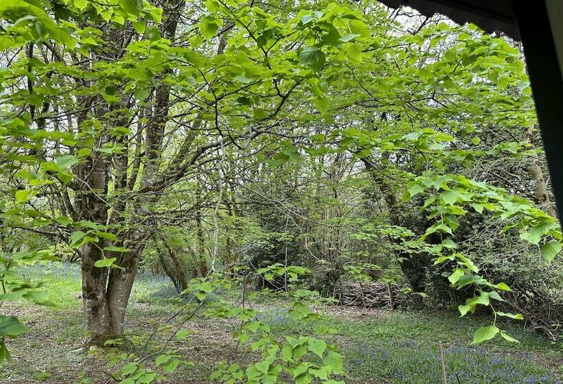 住所  Cornwall Woodland Dog Friendly Shepherd S Hut