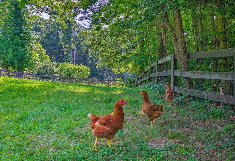 Rustic & Authentic Farm Stay By Dupont Forest!