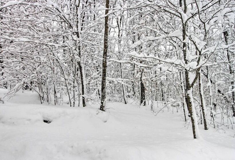 Spacious & Secluded Home By Pokegama Lake!