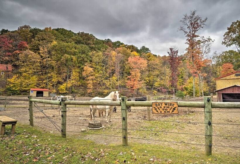 Lucas Mccain Cabin 5 Mi To Raystown Lake Launch!