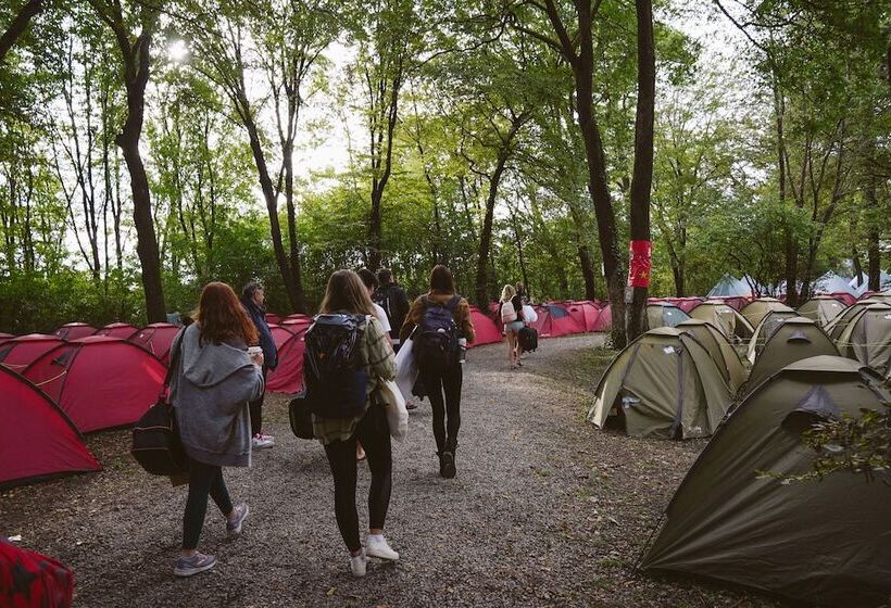 مبيت وإفطار Munich Central Camping