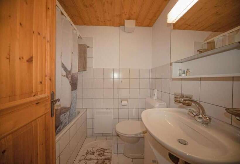 בית מלון כפרי Gasthaus Alpina Salouf