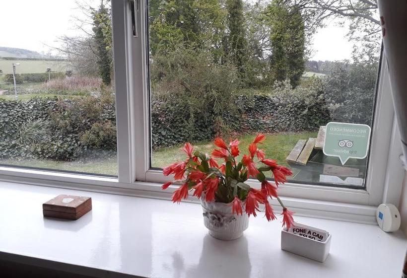 تختخواب و صبحانه Goldilands