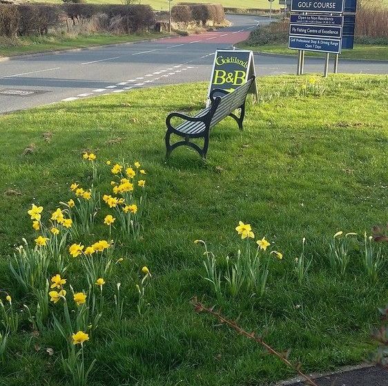 تختخواب و صبحانه Goldilands