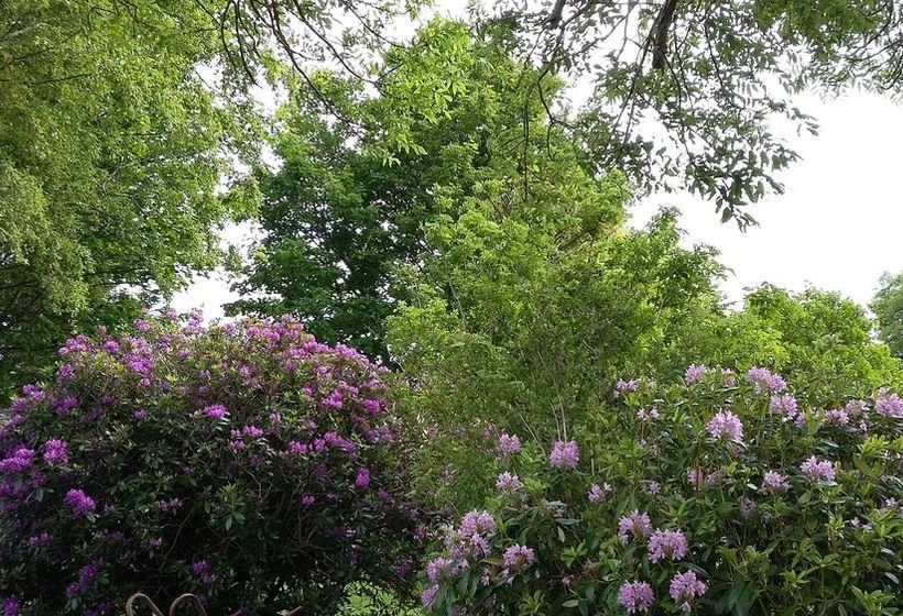 تختخواب و صبحانه Goldilands