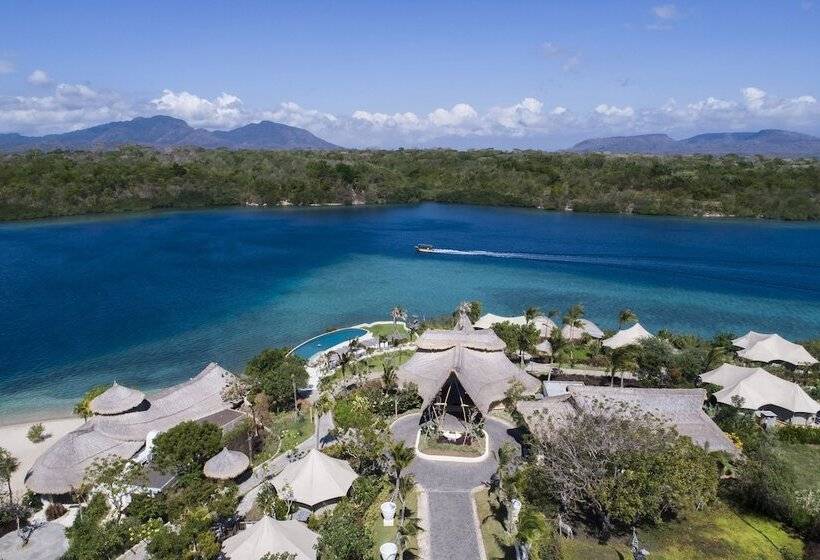 Отель Menjangan Dynasty Resort