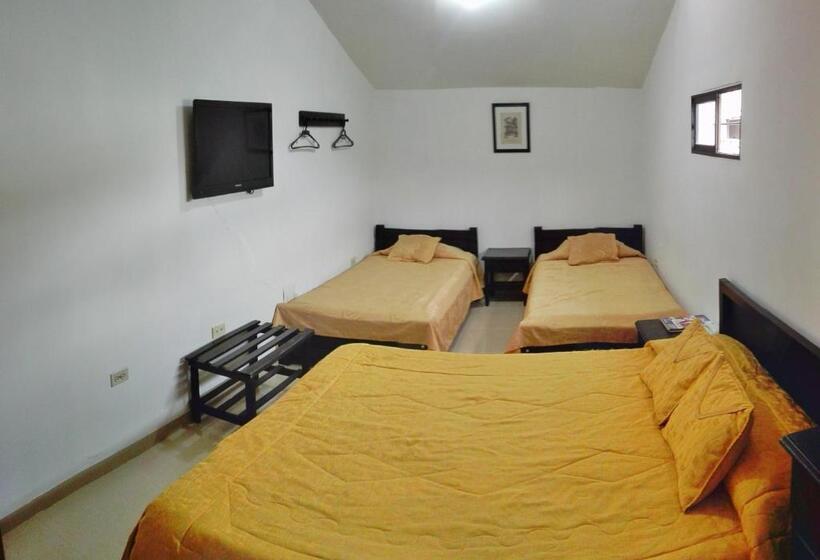 هتل Popayan Plaza