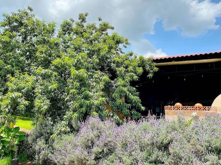 فندق Sandunga Cabañas Boutique