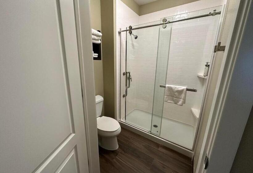 Отель Staybridge Suites Anaheim At The Park, An Ihg