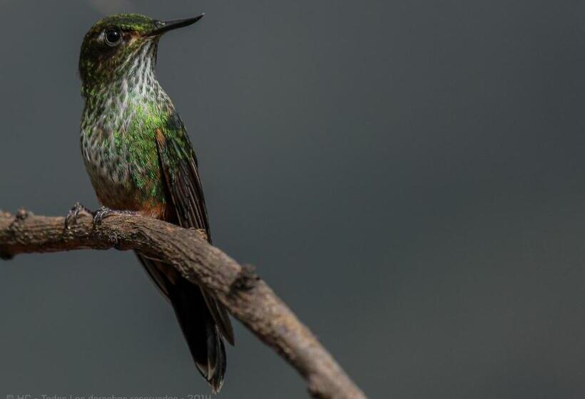 هتل Termales Del Ruiz