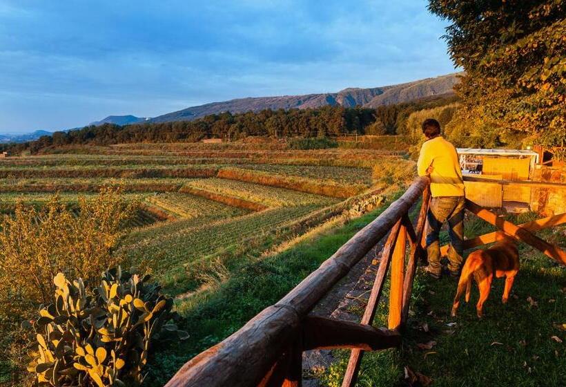 هتل Wine Resort Villagrande