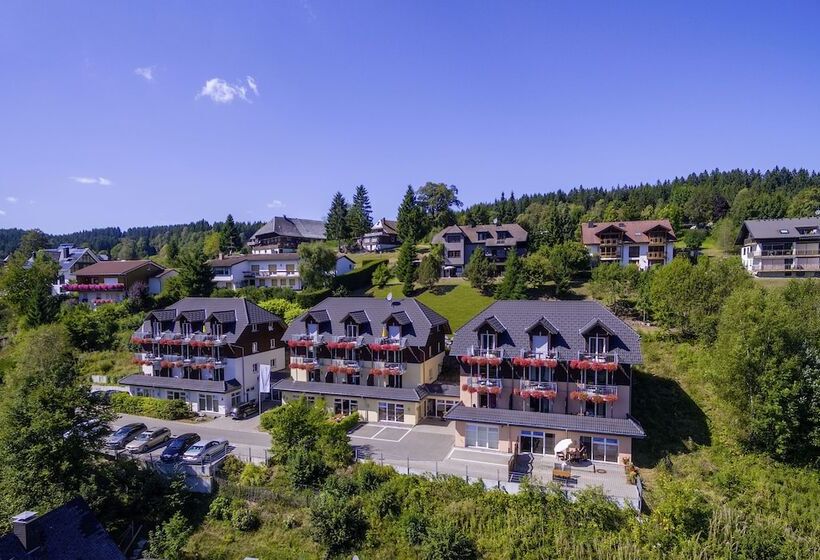 Nature Titisee