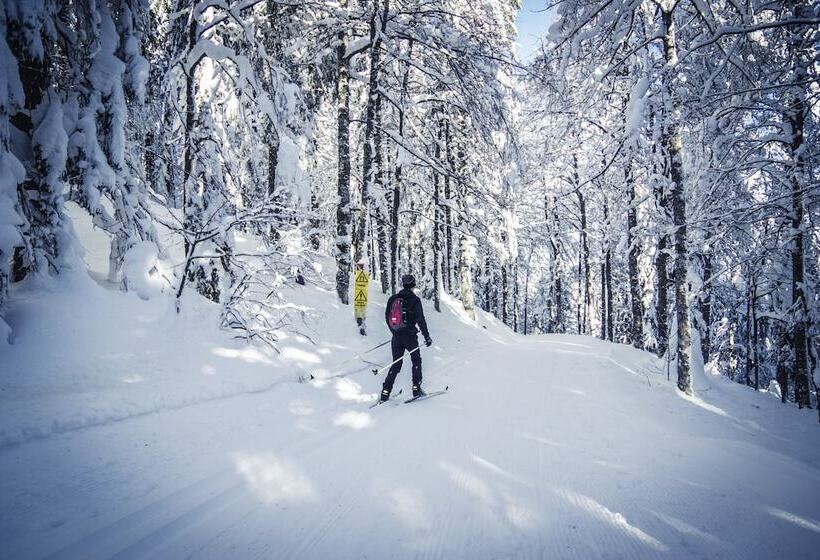 Nature Titisee