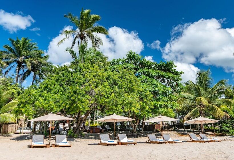 בית מלון כפרי Colibri Beach Villas