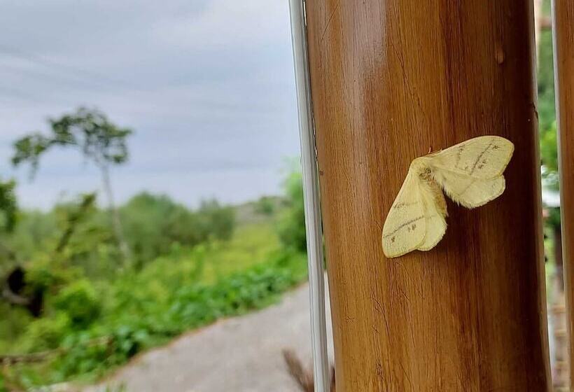 فندق Hill Mynah Bamboo Resort