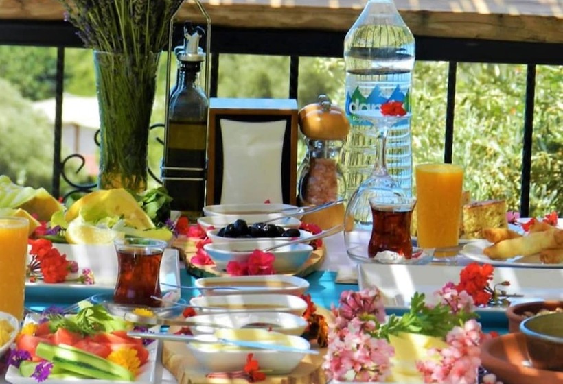 酒店 Kabak Misafir Evi