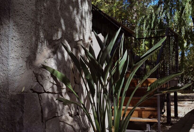 هتل La Misión Guest House