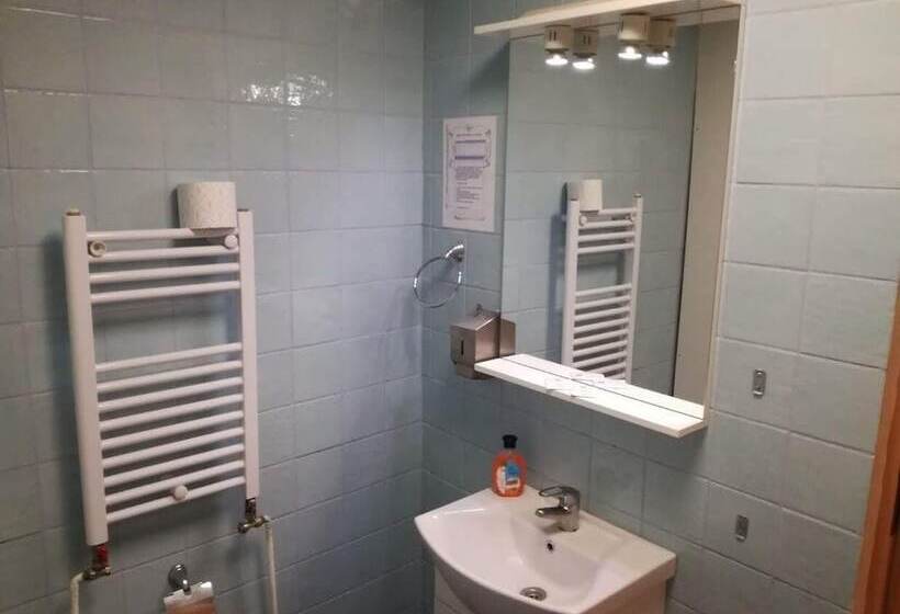 פנסיון Cazare Business Transit
