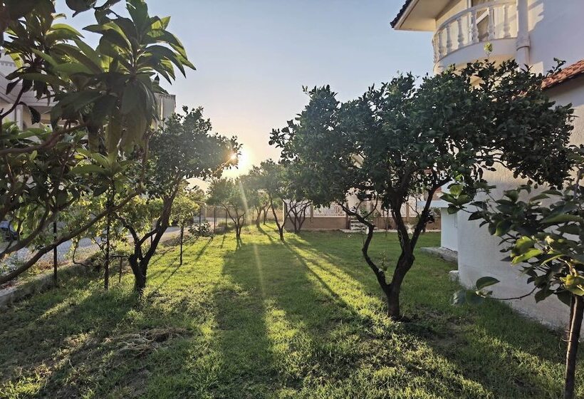 اقامتگاه Freeman Greenlees Hellenic Garden House