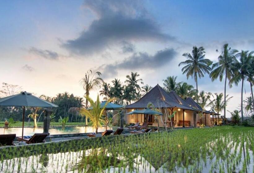 住宿加早餐  Intan Villa & Suite Ubud