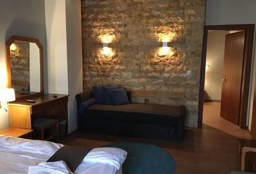 酒店 Naoussa Mountain Resort