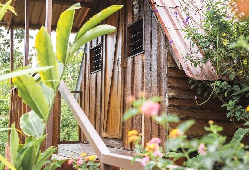 Отель Pacuare Mountain Lodge