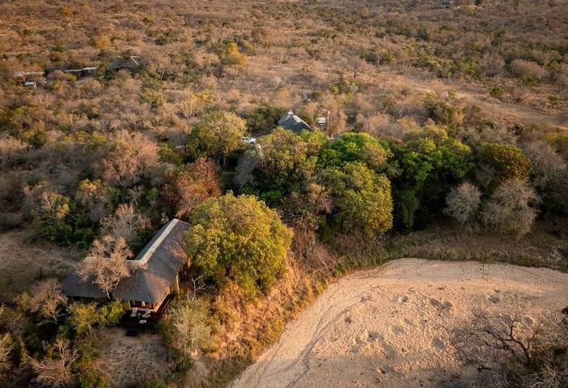 ホテル Shimungwe Lodge