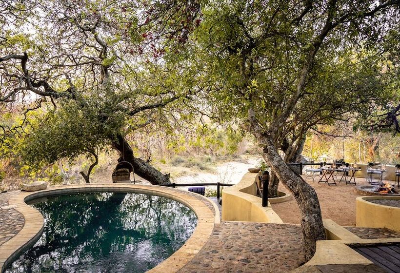 ホテル Shimungwe Lodge