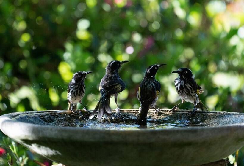 אתר נופש Noble River Estate