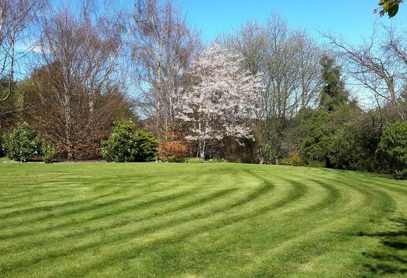 تختخواب و صبحانه Leithview B And B