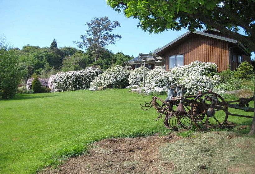 تختخواب و صبحانه Leithview B And B