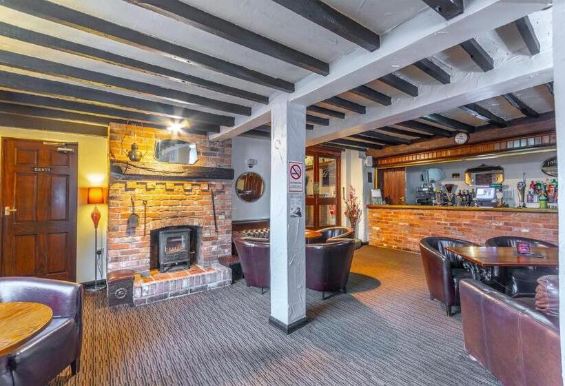 فندق فئة نجمة واحدة The Forest Lodge