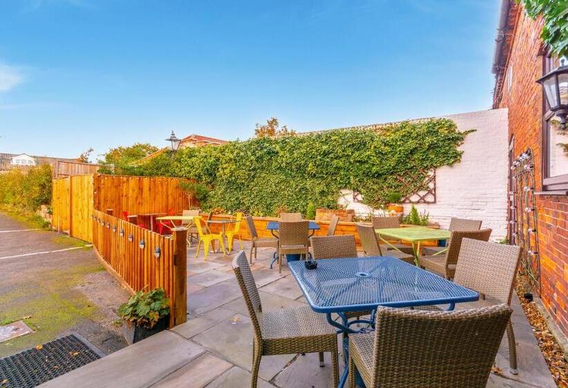 فندق فئة نجمة واحدة The Forest Lodge