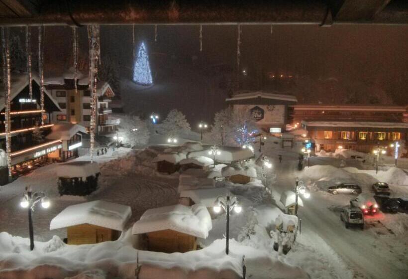 هتل Garni Arnica S