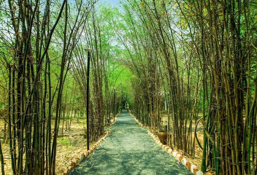 Lemon Tree Wildlife Resort, Bandhavgarh